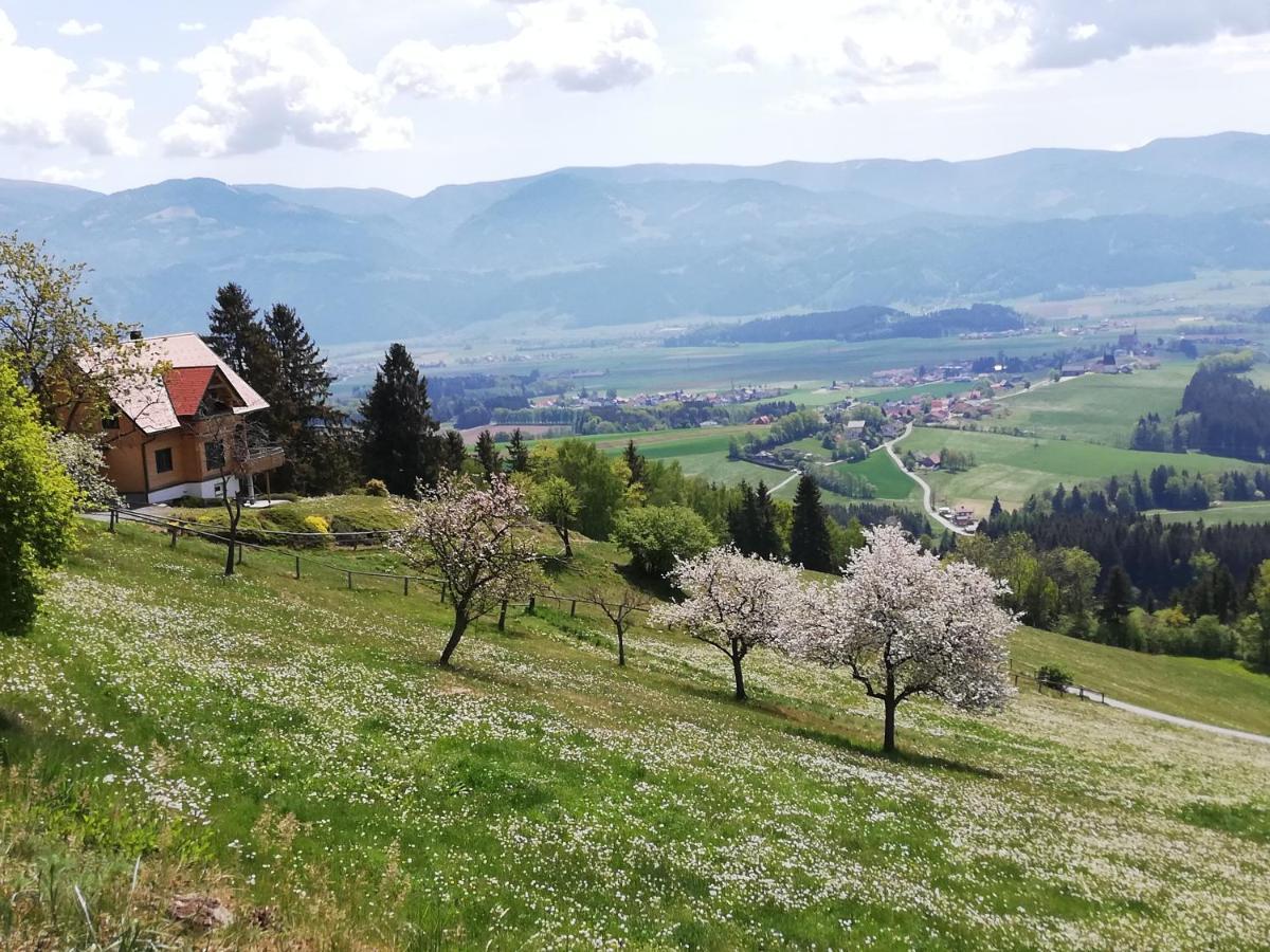 Ferienhaus Hochfelner Sankt Marein bei Knittelfeld Bagian luar foto