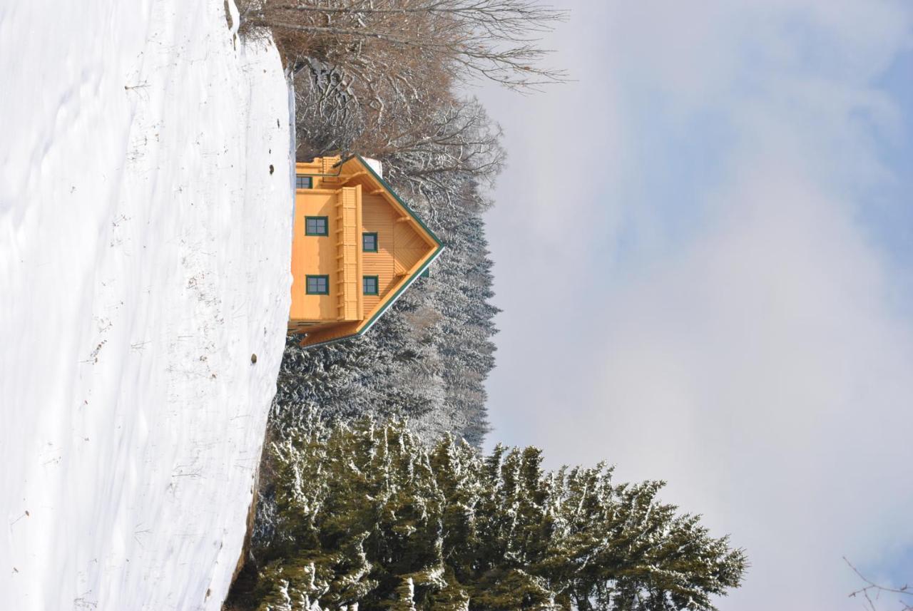 Ferienhaus Hochfelner Sankt Marein bei Knittelfeld Bagian luar foto
